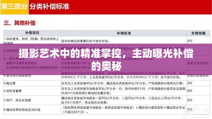 攝影藝術(shù)中的精準(zhǔn)掌控，主動(dòng)曝光補(bǔ)償?shù)膴W秘