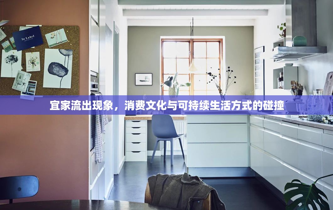 宜家流出現(xiàn)象，消費(fèi)文化與可持續(xù)生活方式的碰撞