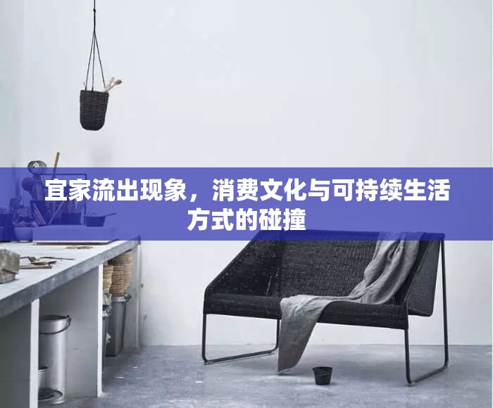 宜家流出現(xiàn)象，消費(fèi)文化與可持續(xù)生活方式的碰撞
