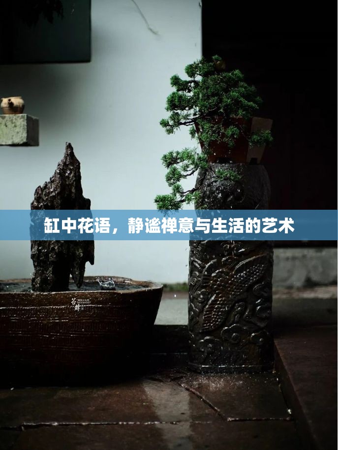 缸中花語(yǔ)，靜謐禪意與生活的藝術(shù)