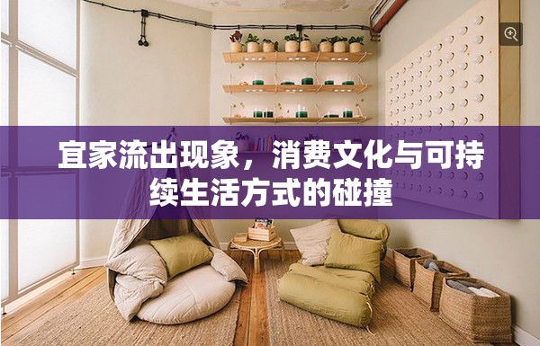 宜家流出現(xiàn)象，消費(fèi)文化與可持續(xù)生活方式的碰撞