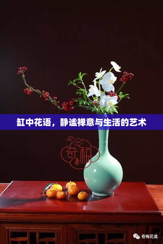 缸中花語(yǔ)，靜謐禪意與生活的藝術(shù)