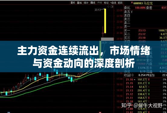 主力資金連續(xù)流出，市場情緒與資金動向的深度剖析