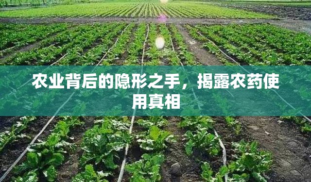 農(nóng)業(yè)背后的隱形之手，揭露農(nóng)藥使用真相