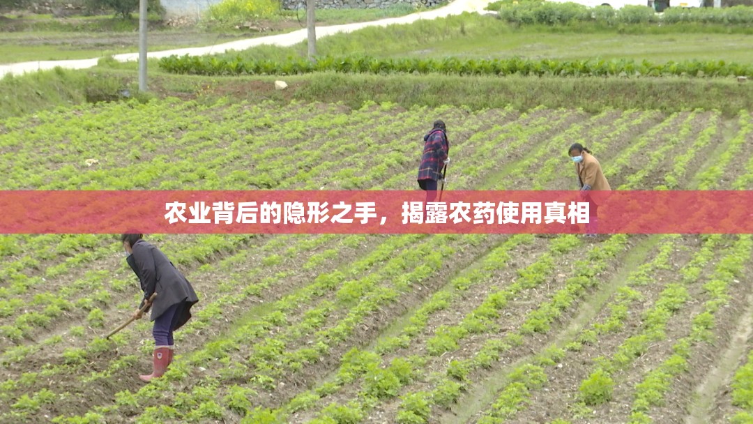 農(nóng)業(yè)背后的隱形之手，揭露農(nóng)藥使用真相