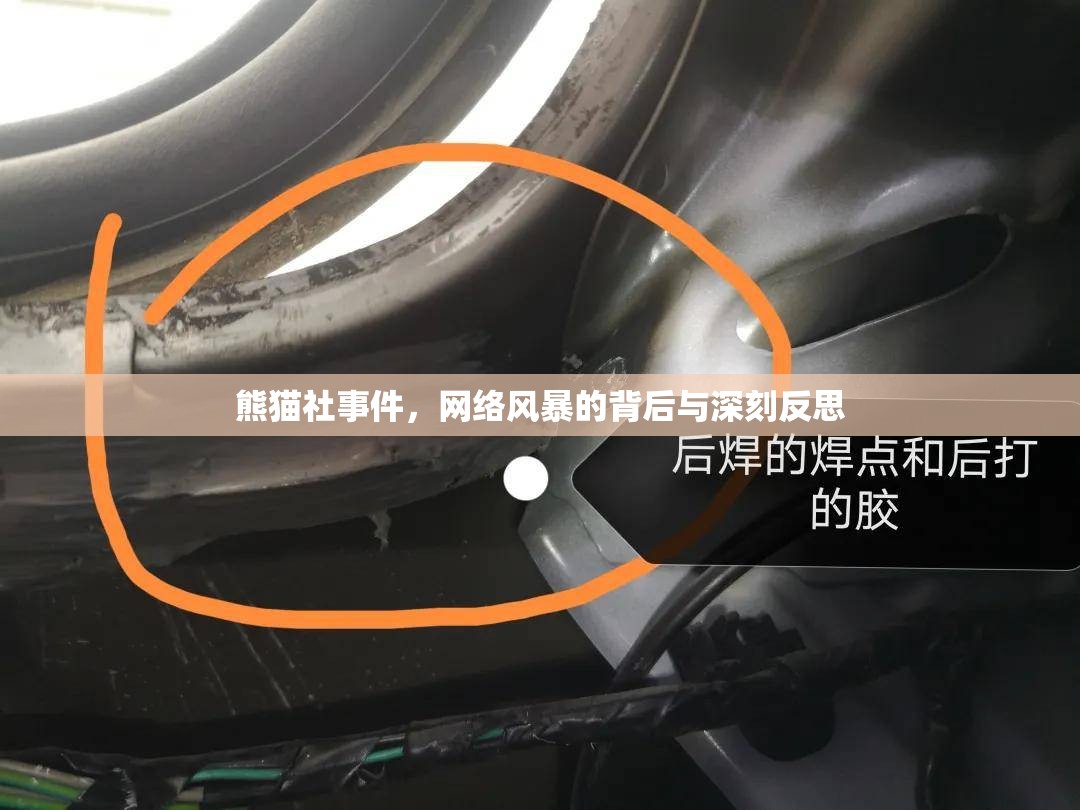 熊貓社事件，網(wǎng)絡(luò)風(fēng)暴的背后與深刻反思