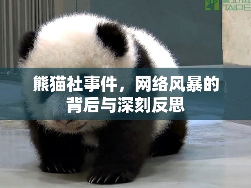 熊貓社事件，網(wǎng)絡(luò)風(fēng)暴的背后與深刻反思