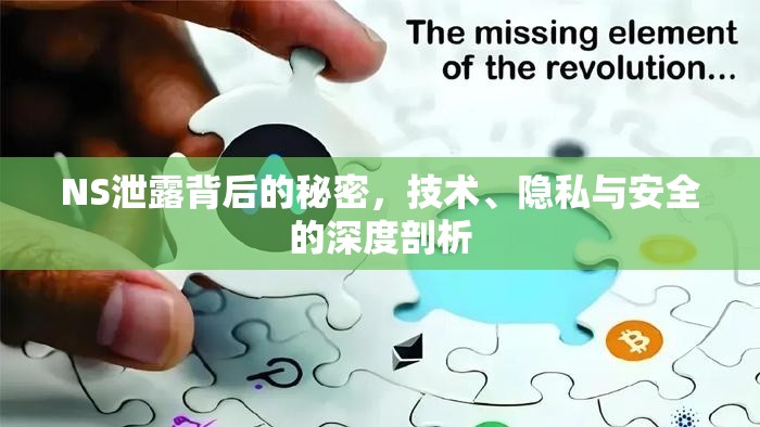 NS泄露背后的秘密，技術(shù)、隱私與安全的深度剖析