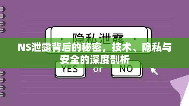 NS泄露背后的秘密，技術(shù)、隱私與安全的深度剖析