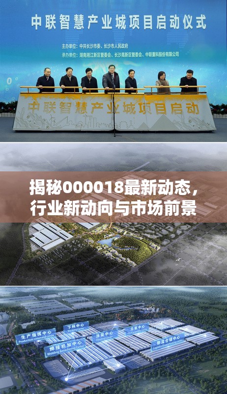 揭秘000018最新動態(tài)，行業(yè)新動向與市場前景展望