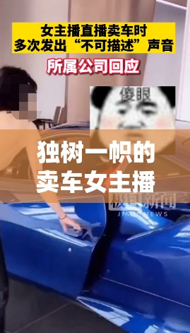 獨(dú)樹(shù)一幟的賣車女主播——小雅在福州車市的非凡之旅