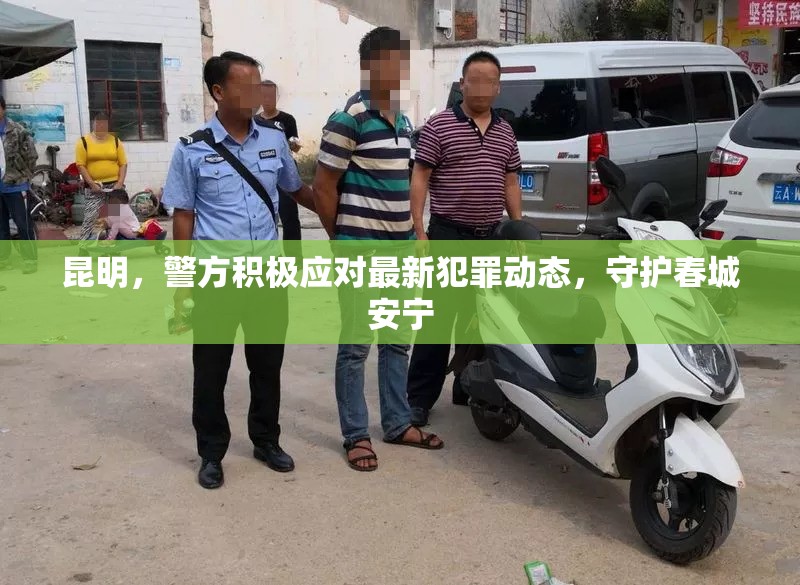 昆明，警方積極應(yīng)對(duì)最新犯罪動(dòng)態(tài)，守護(hù)春城安寧