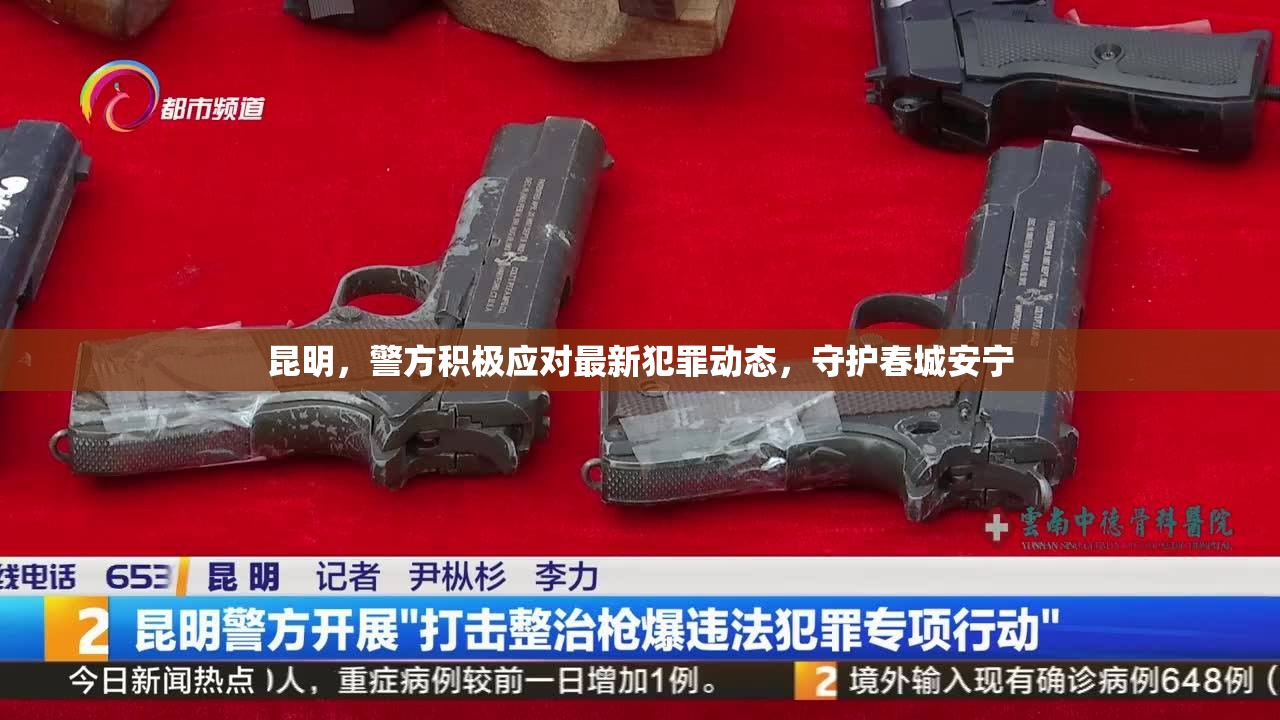 昆明，警方積極應(yīng)對(duì)最新犯罪動(dòng)態(tài)，守護(hù)春城安寧