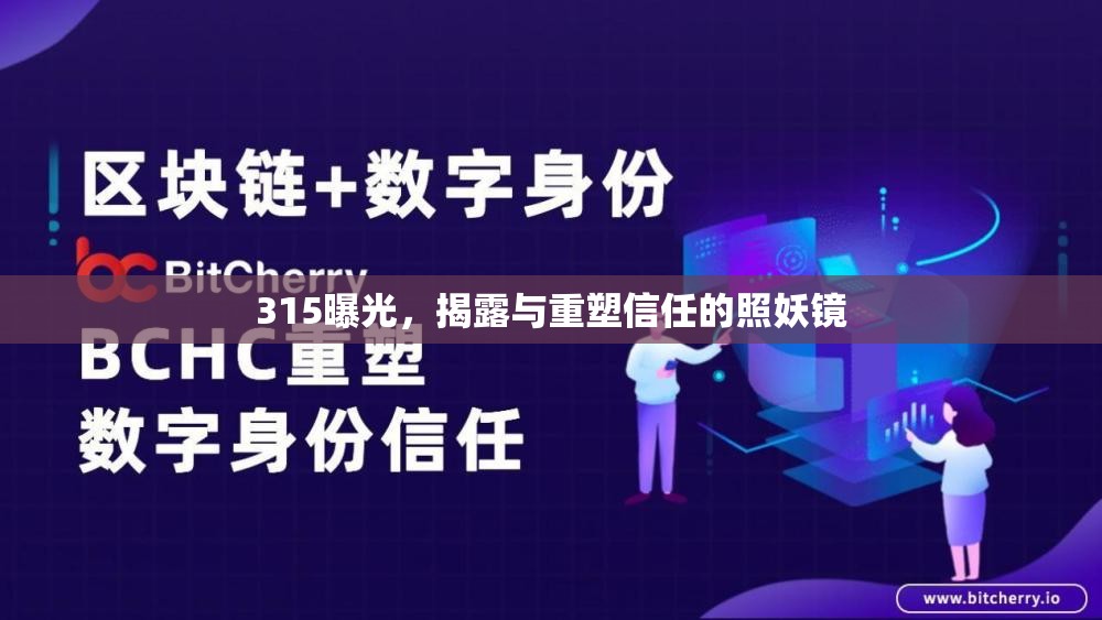 315曝光，揭露與重塑信任的照妖鏡