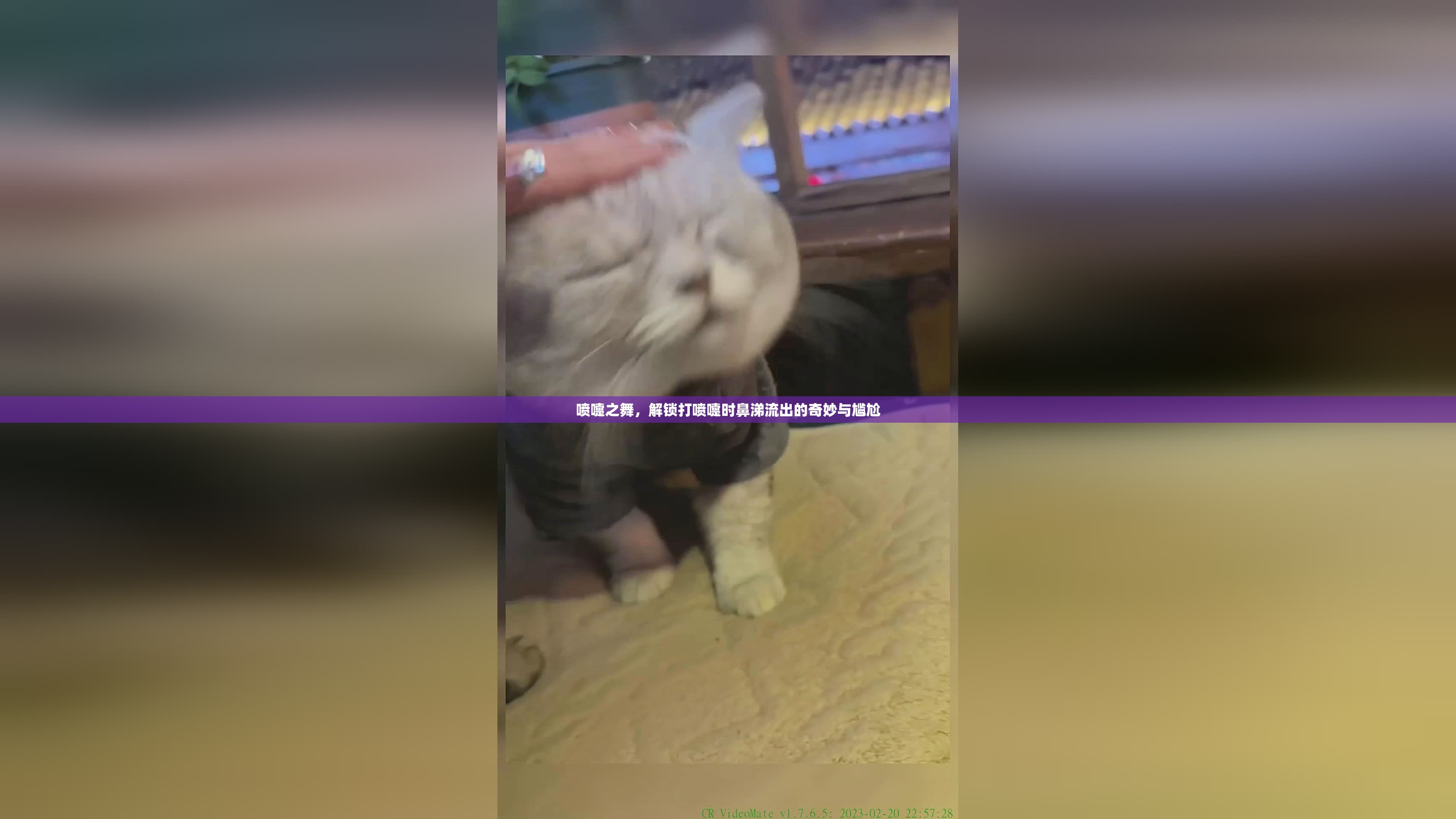 噴嚏之舞，解鎖打噴嚏時(shí)鼻涕流出的奇妙與尷尬