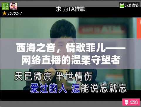 西海之音，情歌菲兒——網(wǎng)絡(luò)直播的溫柔守望者