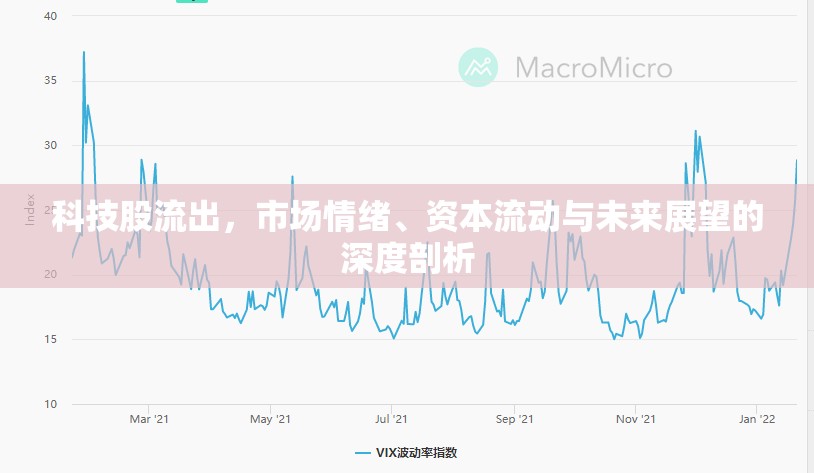 科技股流出，市場(chǎng)情緒、資本流動(dòng)與未來(lái)展望的深度剖析