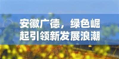 安徽廣德，綠色崛起引領新發(fā)展浪潮