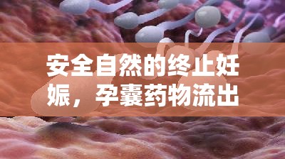 安全自然的終止妊娠，孕囊藥物流出的選擇