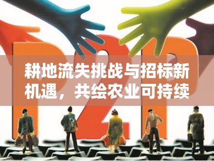 耕地流失挑戰(zhàn)與招標(biāo)新機(jī)遇，共繪農(nóng)業(yè)可持續(xù)發(fā)展藍(lán)圖