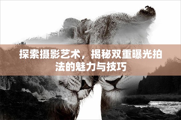 探索攝影藝術，揭秘雙重曝光拍法的魅力與技巧