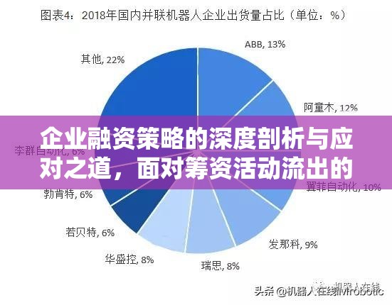 企業(yè)融資策略的深度剖析與應(yīng)對之道，面對籌資活動流出的挑戰(zhàn)
