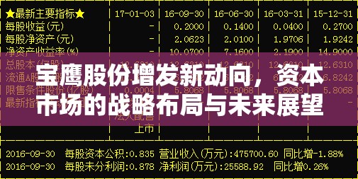寶鷹股份增發(fā)新動向，資本市場的戰(zhàn)略布局與未來展望