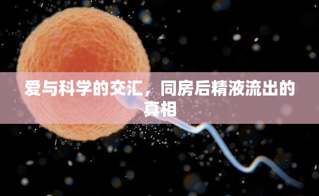 愛與科學(xué)的交匯，同房后精液流出的真相