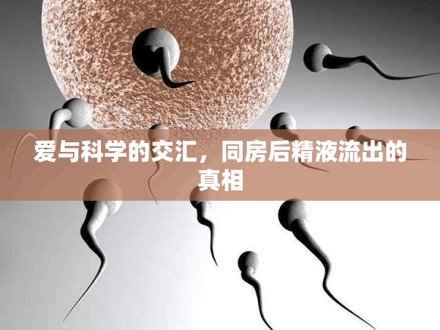 愛與科學(xué)的交匯，同房后精液流出的真相