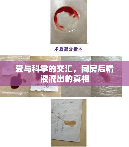 愛與科學(xué)的交匯，同房后精液流出的真相