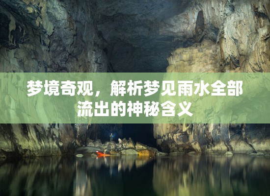 夢境奇觀，解析夢見雨水全部流出的神秘含義