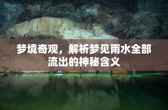 夢境奇觀，解析夢見雨水全部流出的神秘含義