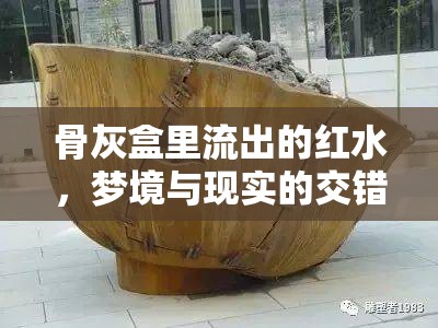 骨灰盒里流出的紅水，夢境與現(xiàn)實(shí)的交錯(cuò)之謎