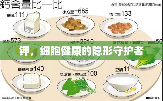 鉀，細(xì)胞健康的隱形守護(hù)者