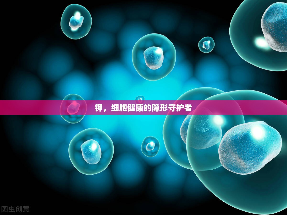 鉀，細(xì)胞健康的隱形守護(hù)者