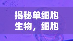 揭秘單細胞生物，細胞質流出的奇妙世界
