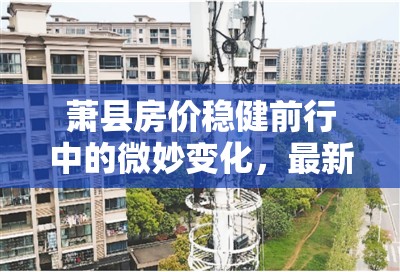 蕭縣房?jī)r(jià)穩(wěn)健前行中的微妙變化，最新走勢(shì)分析