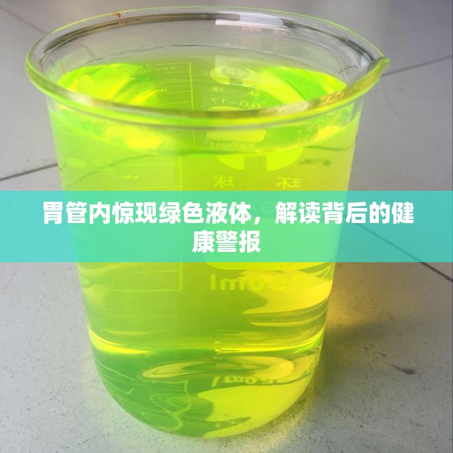 胃管內(nèi)驚現(xiàn)綠色液體，解讀背后的健康警報