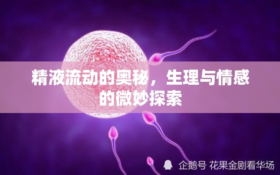 精液流動(dòng)的奧秘，生理與情感的微妙探索