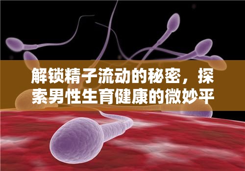 解鎖精子流動的秘密，探索男性生育健康的微妙平衡