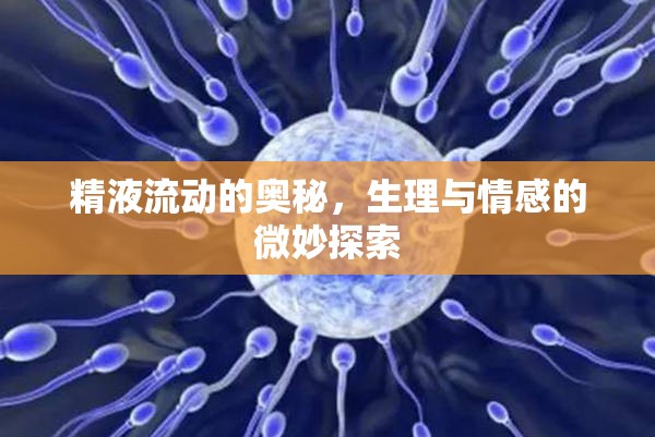 精液流動(dòng)的奧秘，生理與情感的微妙探索