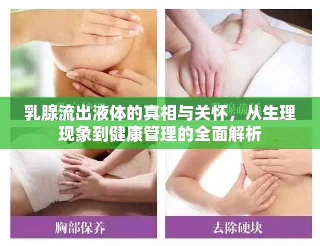 乳腺流出液體的真相與關懷，從生理現(xiàn)象到健康管理的全面解析
