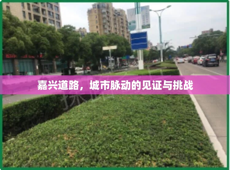 嘉興道路，城市脈動(dòng)的見證與挑戰(zhàn)