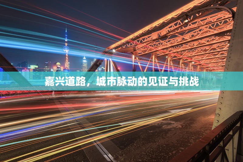 嘉興道路，城市脈動(dòng)的見證與挑戰(zhàn)
