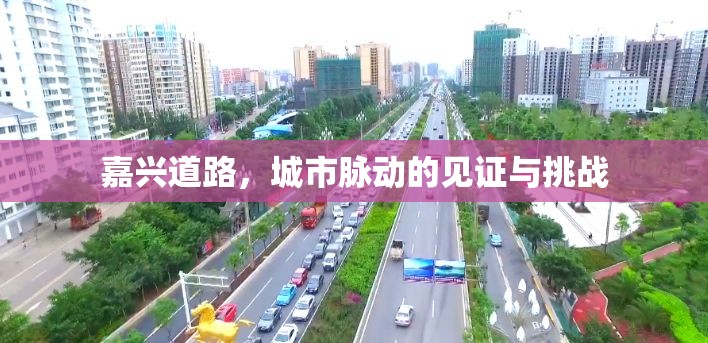嘉興道路，城市脈動(dòng)的見證與挑戰(zhàn)