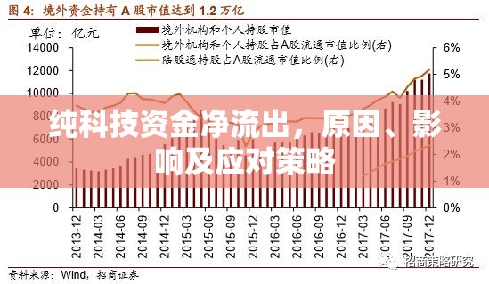 純科技資金凈流出，原因、影響及應(yīng)對策略