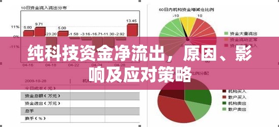 純科技資金凈流出，原因、影響及應(yīng)對策略