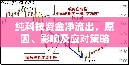 純科技資金凈流出，原因、影響及應(yīng)對策略
