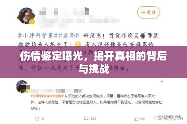 傷情鑒定曝光，揭開真相的背后與挑戰(zhàn)