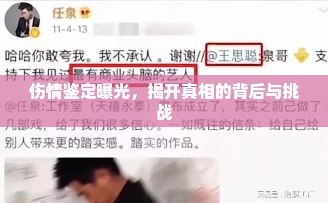 傷情鑒定曝光，揭開真相的背后與挑戰(zhàn)